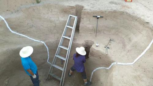 ���Ź������ڌ��m�ǳǉ����ۺ����M�Эh(hu��n)��ȡ�Ӝy�ܶȡ��������ṩ