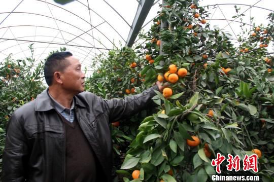 �����r(n��ng)��ԇˮ����N����ÿ���u200Ԫ���D��