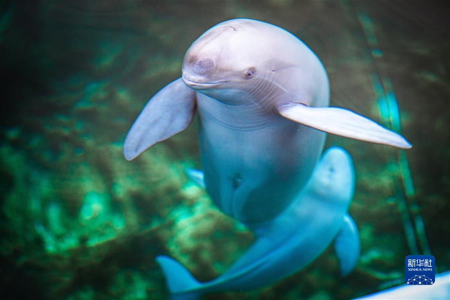 �����Aȫý�^�l���^�M(j��n)������ �����r(sh��)�����Ƿ�ʮ�ꡤ�D�Ļ���(d��ng)����6���������^���V��(xi��)���|(zh��)���l(f��)չ��ƪ��