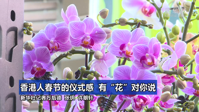 香港人春節(jié)的儀式感 有“花”對(duì)你說(shuō).png