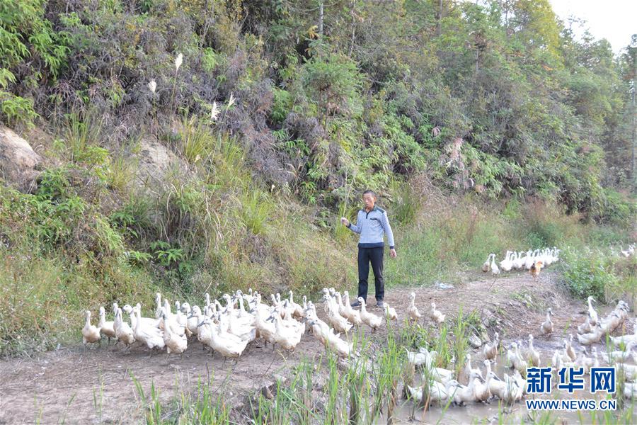 ���Q��(zh��n)�Q��Óؚ���ԡ��D�Ļ��ӣ���2���}�������ġ��_ˮͨÓؚӛ