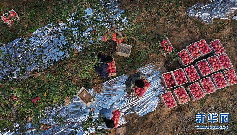 �����Aȫý�^�l���D�Ļ���(d��ng)����19����(x��)��ƽ�ķ�ؚ����