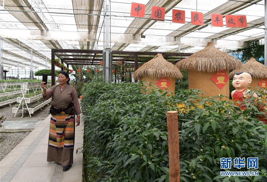 �������҂���С������Q��(zh��n)�Q��Óؚ����(ji��n)���D�Ļ���(d��ng)����3����ԭϲҊ(ji��n)���۹�G�������������ݼ����ϵ��߲˰l(f��)չ���E