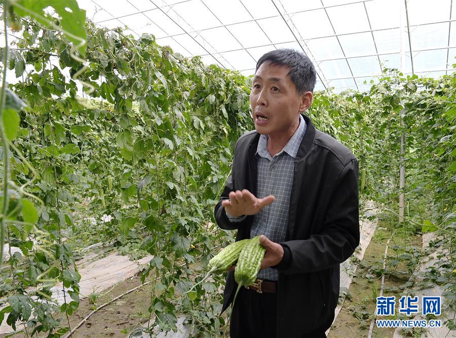 �������҂���С������Q��(zh��n)�Q��Óؚ����(ji��n)���D�Ļ���(d��ng)����4����ԭϲҊ(ji��n)���۹�G�������������ݼ����ϵ��߲˰l(f��)չ���E