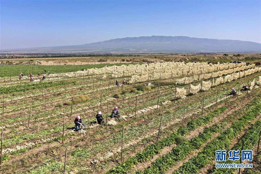 �����Aȫý�^�l�������҂���С������D�Ļ���(d��ng)����8��23�f�˵����\(y��n)�D(zhu��n)�ۡ����҇�����׵����B(t��i)�����Å^(q��)��Óؚ�ܴa