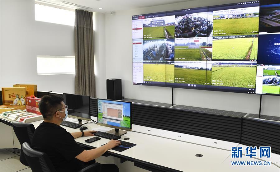 �����Aȫý�^�l�������҂���С������D�Ļ��ӣ���4�������������Ҽҡ����ڼ�����һƳ�Ї��|���l(xi��ng)������δ��