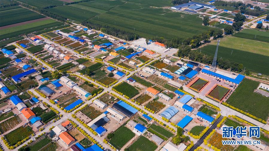 �����Aȫý�^�l�������҂���С������D�Ļ��ӣ���1�������������Ҽҡ����ڼ��֣�һƳ�Ї��|���l(xi��ng)������δ��