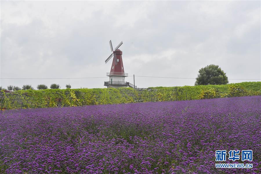 �����Aȫý�^�l�������҂���С������D�Ļ��ӣ���6�������������Ҽҡ����ڼ�����һƳ�Ї��|���l(xi��ng)������δ��