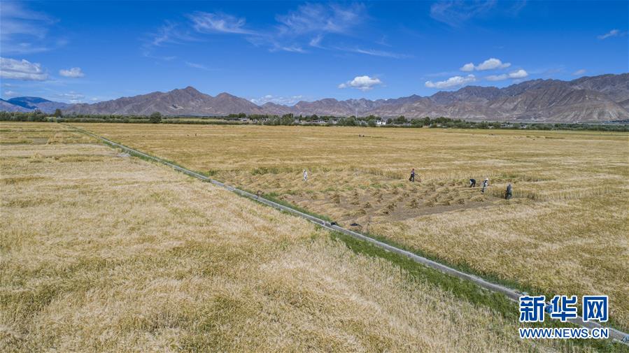 �����Aȫý�^�l�������҂���С������D�Ļ��ӣ���11�������������҂����¼҈@���������׵ط�ؚ���w����Ҹ�����������