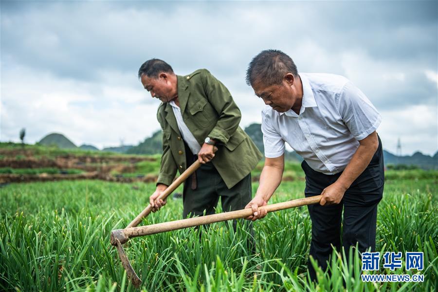 �����Aȫý�^�l���D�Ļ��ӣ���5��Ó��܊�b�������]�������ġ���(zh��n)���������F�ݡ���֧����Óؚ����һ���@����