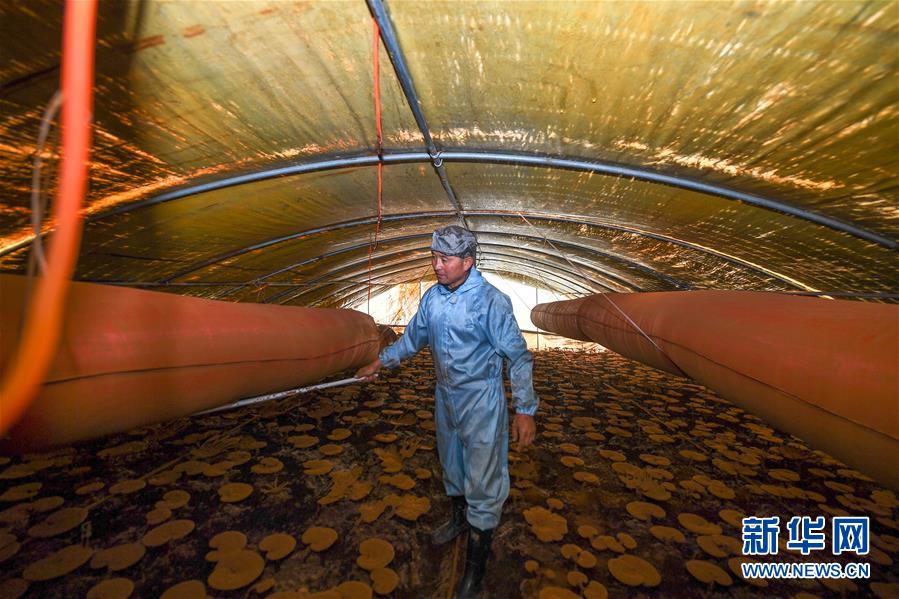 ���Q��(zh��n)�Q��Óؚ����(ji��n)���D�Ļ���(d��ng)����2���ġ�����ؚ���������^Óؚ���������־������@��һλ��ÓؚӢ�ۡ�